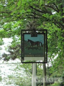 Picture of The Sorrel Horse