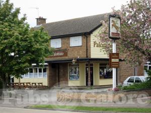 Picture of The Palomino