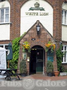Picture of White Lion