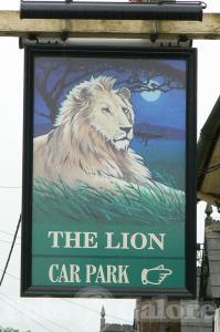 Picture of The Lion