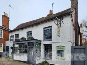 Picture of The Old Mariner