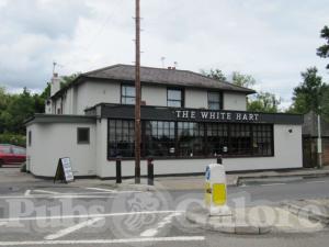 Picture of The White Hart