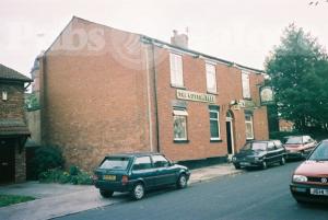 Picture of The Cotton Tree