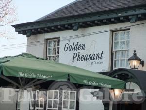Picture of The Golden Pheasant