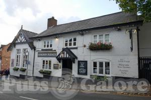 Picture of Golden Fleece