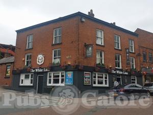 Picture of The White Lion