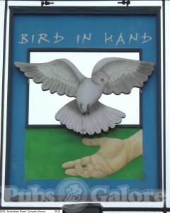 Picture of The Bird