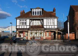 Picture of The Cricketers