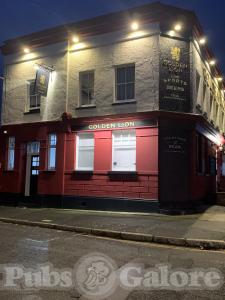 Picture of Golden Lion