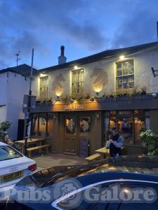 Picture of Dark Horse