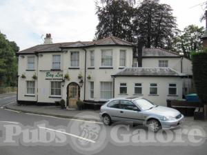 Picture of The Cricketers