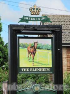 Picture of The Blenheim Arms