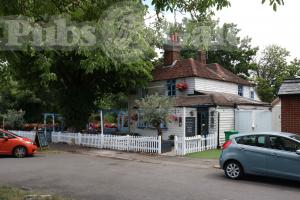 Picture of The Cricketers