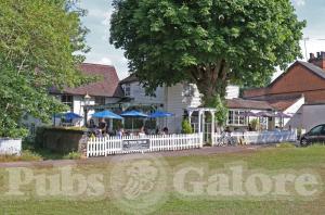 Picture of The Cricketers