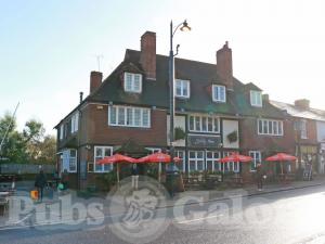 Picture of The Famous Green Man