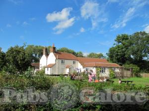 Picture of The Bluebell