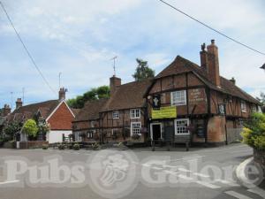 Picture of The Plume of Feathers