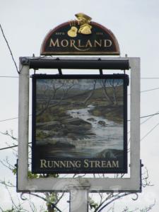 Picture of The Running Stream