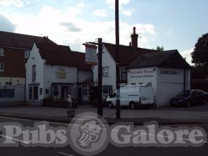 Picture of Three Lions