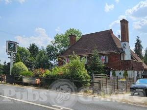 Picture of The Cricketers