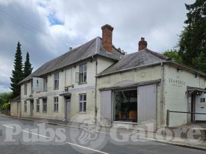 Picture of The Seahorse