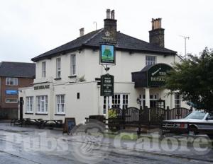 Picture of Royal Oak
