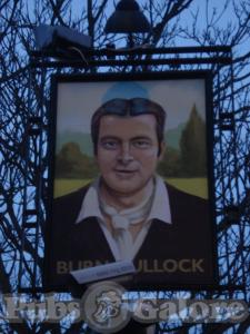 Picture of The Burn Bullock