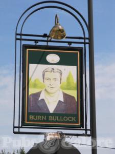 Picture of The Burn Bullock