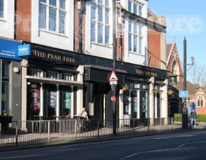 Picture of The Pear Tree