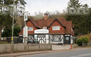 Picture of The Yew Tree