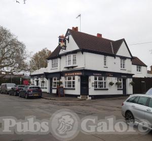 Picture of The White Horse