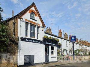 Picture of The White Swan