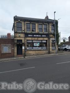 Picture of The Bay Horse