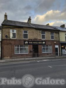 Picture of The Mallard