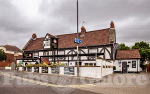 Picture of The Tudor Rose