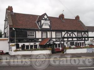 Picture of The Tudor Rose