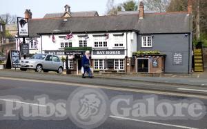 Picture of Bay Horse