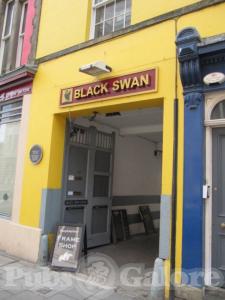 Picture of The Black Swan