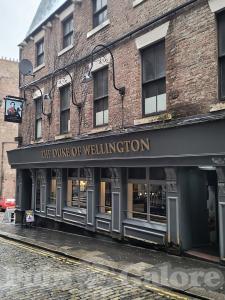 Picture of The Duke of Wellington