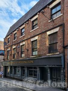 Picture of The Duke of Wellington