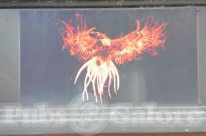 Picture of The Phoenix