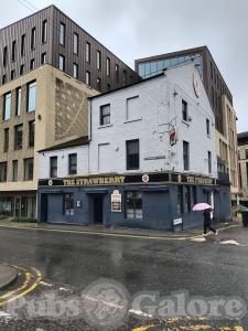 Picture of The Strawberry