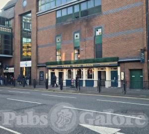 Picture of Three Bulls Heads