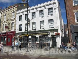 Picture of Turks Head