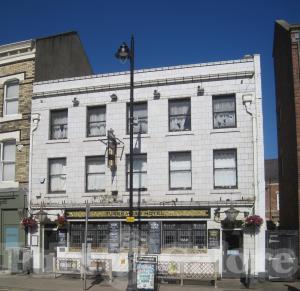 Picture of Turks Head