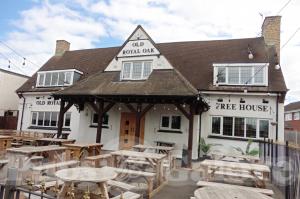 Picture of Old Royal Oak