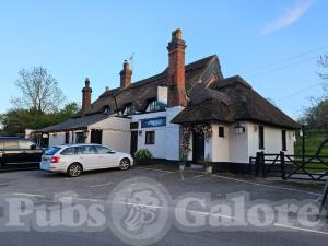 Picture of The Stag