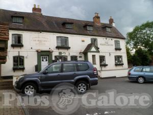 Picture of The White Lion