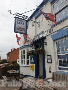 Picture of The Little Lark