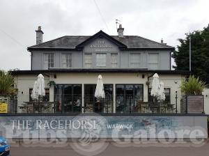 Picture of The Racehorse